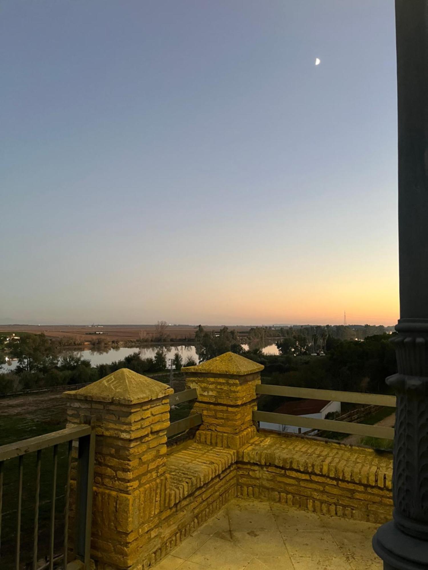 Estudio Las Palmillas Puebla del Río 외부 사진